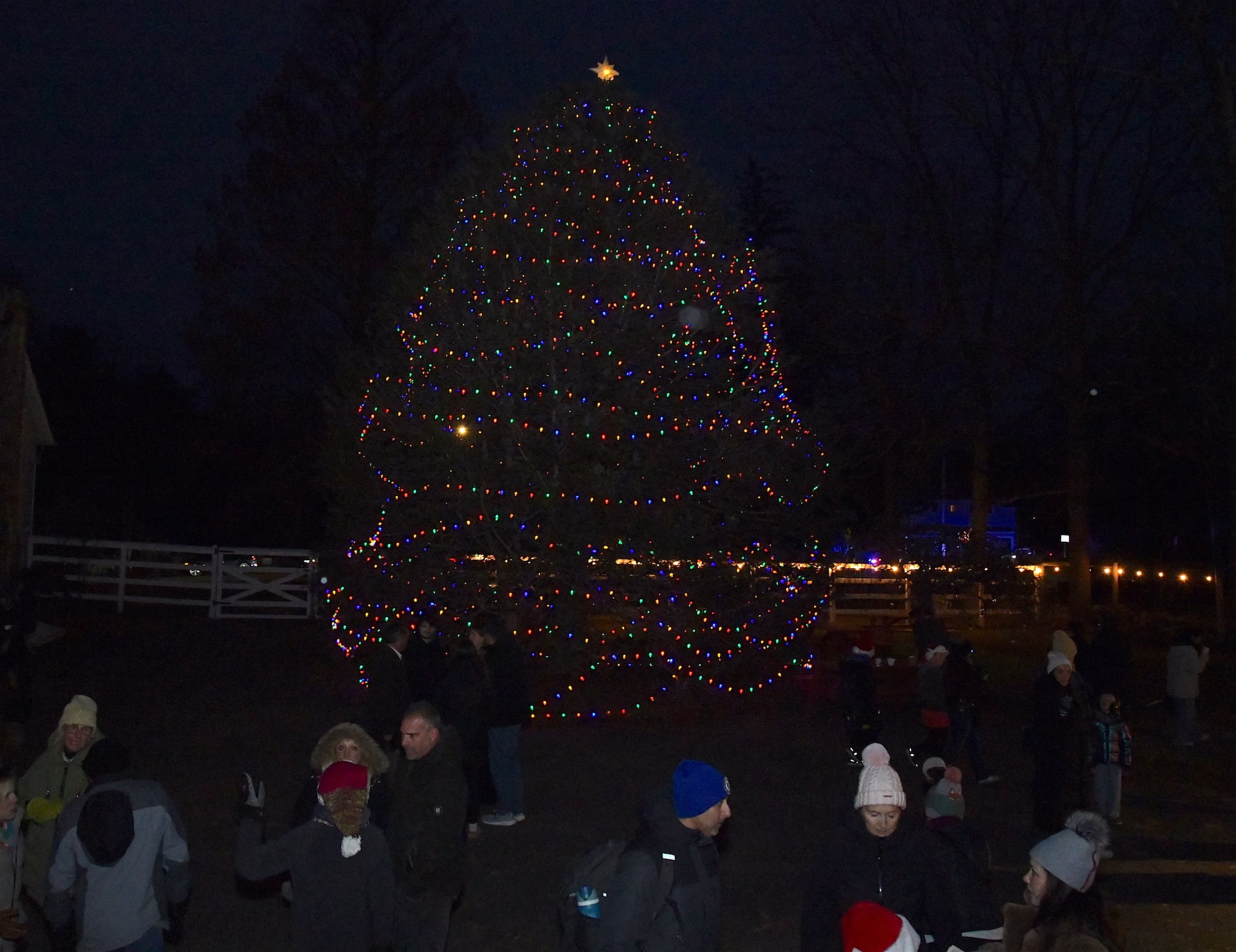The tree