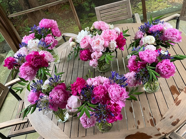 Peonies make excellent cut flowers