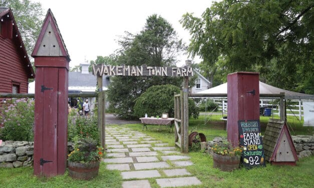 At Wakeman Town Farm, Everyday Tips on How to Save the Earth