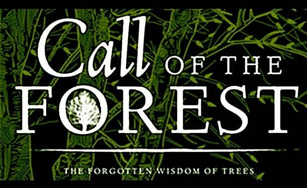 ‘Call of the Forest’ Screening to be Hosted by Tree Board