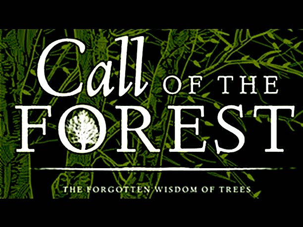 ‘Call of the Forest’ Screening to be Hosted by Tree Board