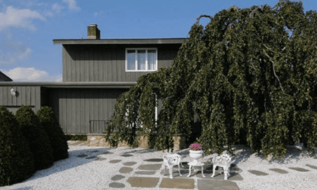 Property Transfers Sept. 6 — 10