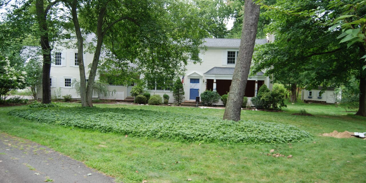 Say Goodbye to 5 Ellery Lane