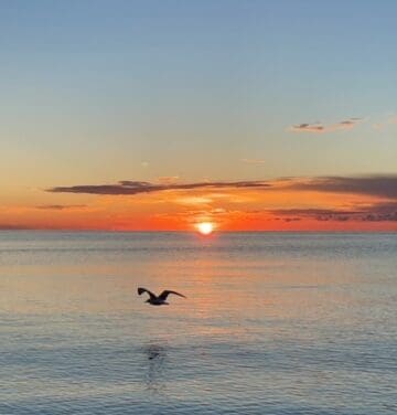 Sunrise in Westport …