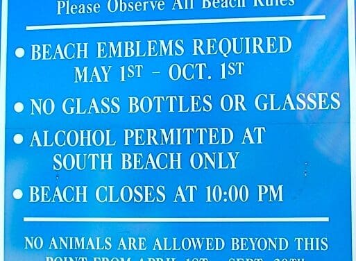 On Friday, Dogs Have Their Days Again on Compo Beach