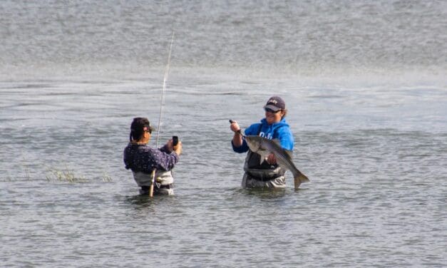 Catch Caught at Old Mill Beach …