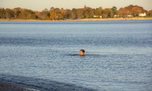November Natation …