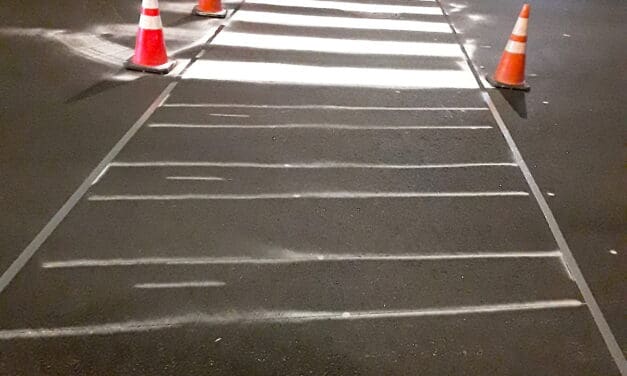 Pedestrian Definition …
