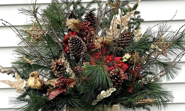 Bough Wows: Craft Holiday Centerpieces at Wakeman Town Farm
