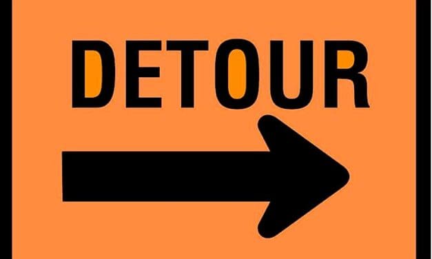 High winds take down trees, power lines overnight