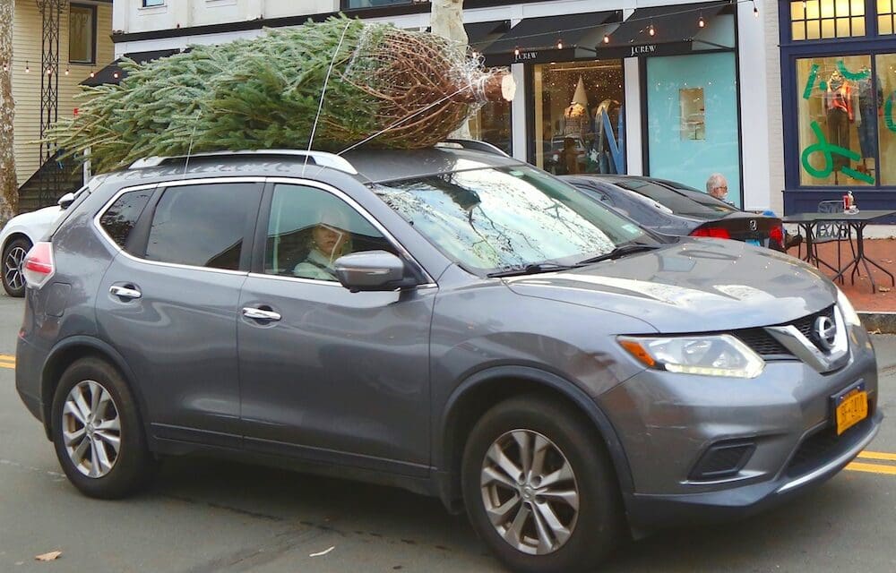 When Black Friday Comes …