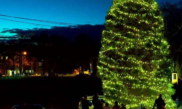 Lighting Ceremony for Town’s Christmas Tree Set for Friday