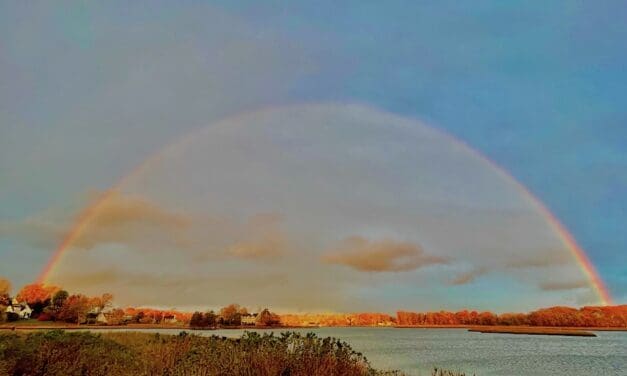 The Rainbow After a Storm …