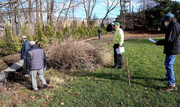 Conservation Panel Orders Corrective Action After Wetlands Filled In