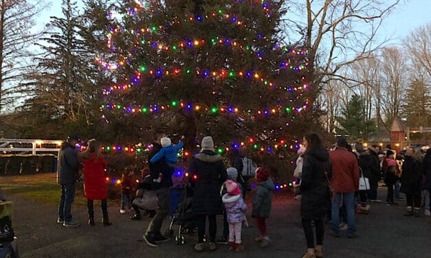 Tree Lit at Wakeman Town Farm