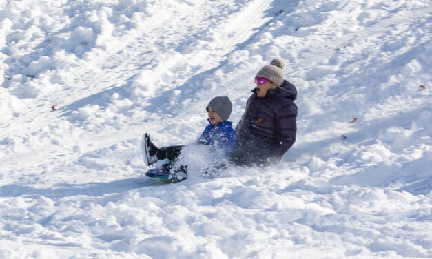 Snow Day!