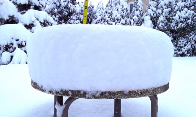 More Like 8″ …