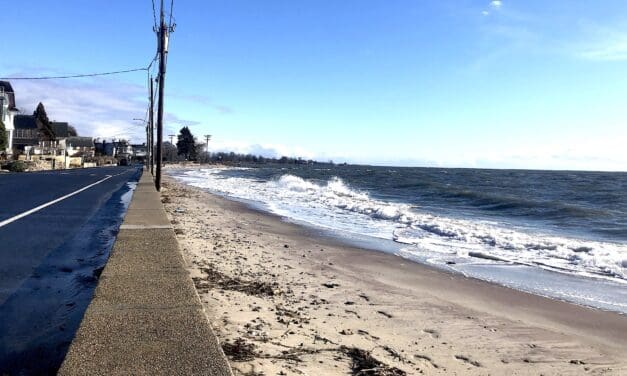 Beach resilience study sparks grants debate