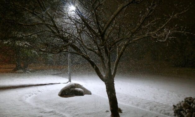 Snow Time!!