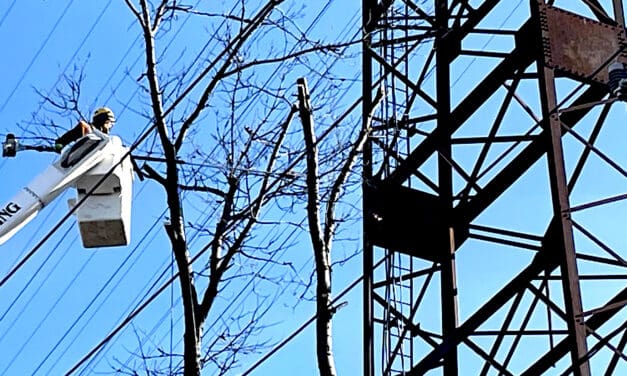 Power Company Cuts Down Trees Along RR Tracks, Shocking Neighbors