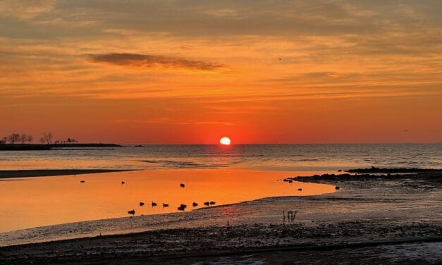 Sunrise Morning