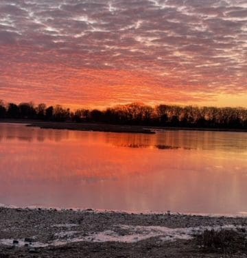 March Morning