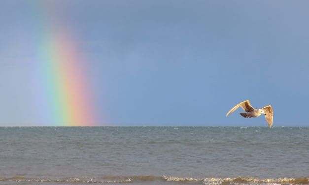 April Showers … and More …