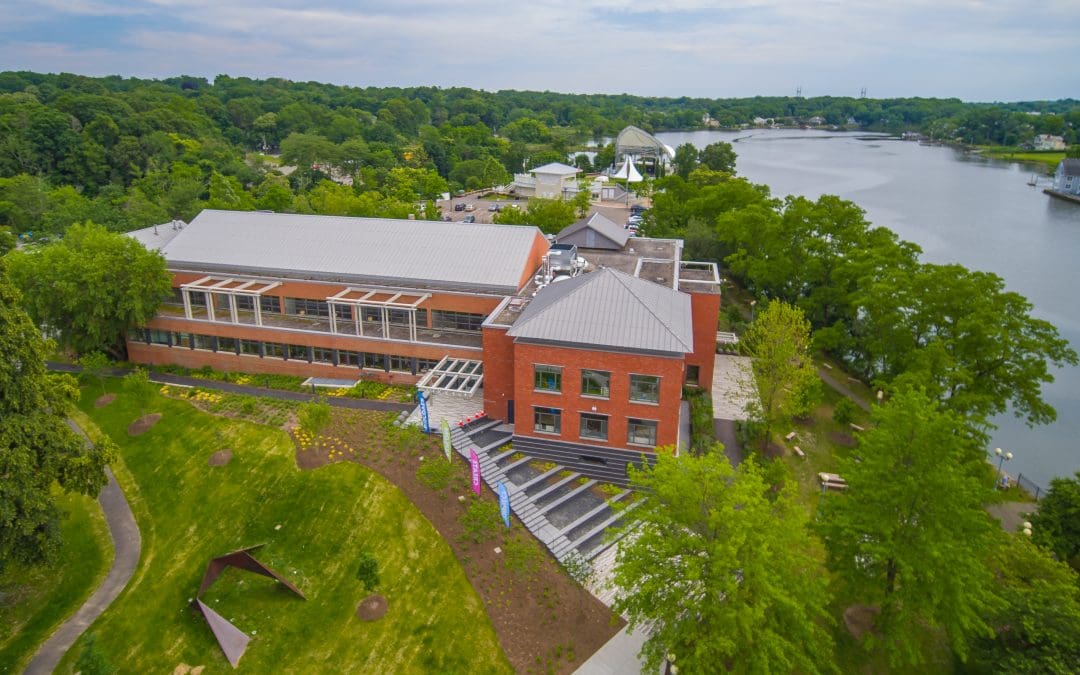 Town funding for Westport Library moving “in the right direction”