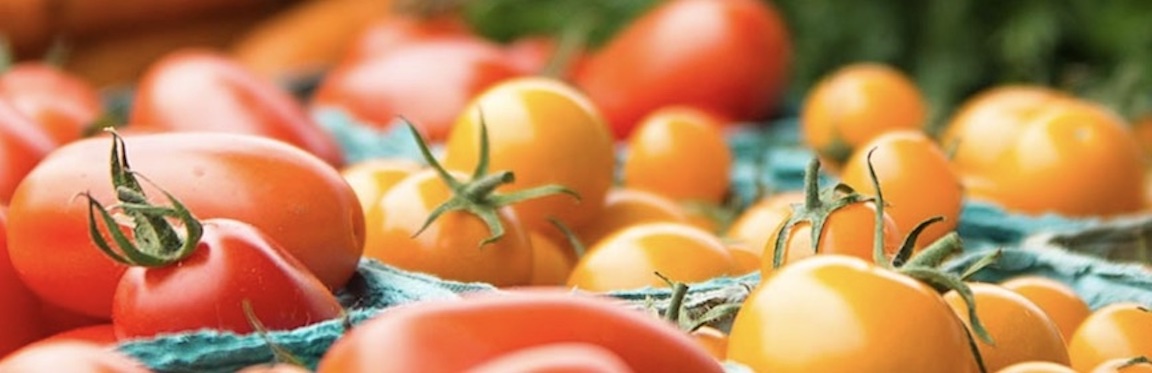Share Garden Bounty Through ‘Grow-a-Row Westport’