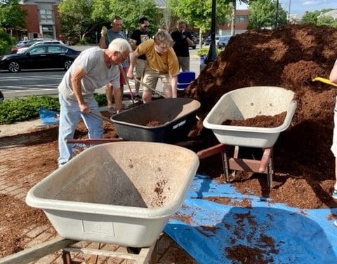 Volunteers Pitch-In at Levitt