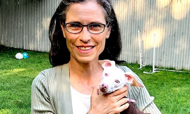 ‘Piglet,’ Art, Music and More at MoCA Family Day