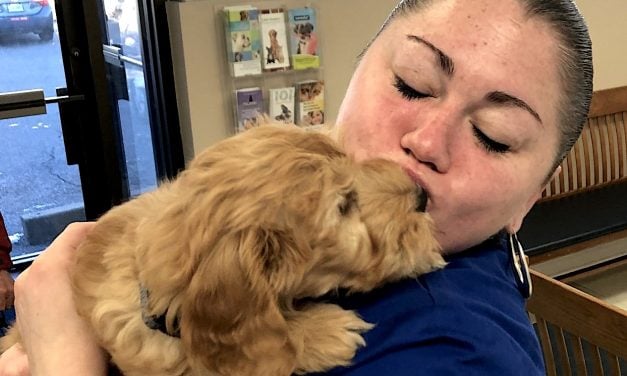 Service Friday for Westport Mother Killed in Wrong-Way Crash