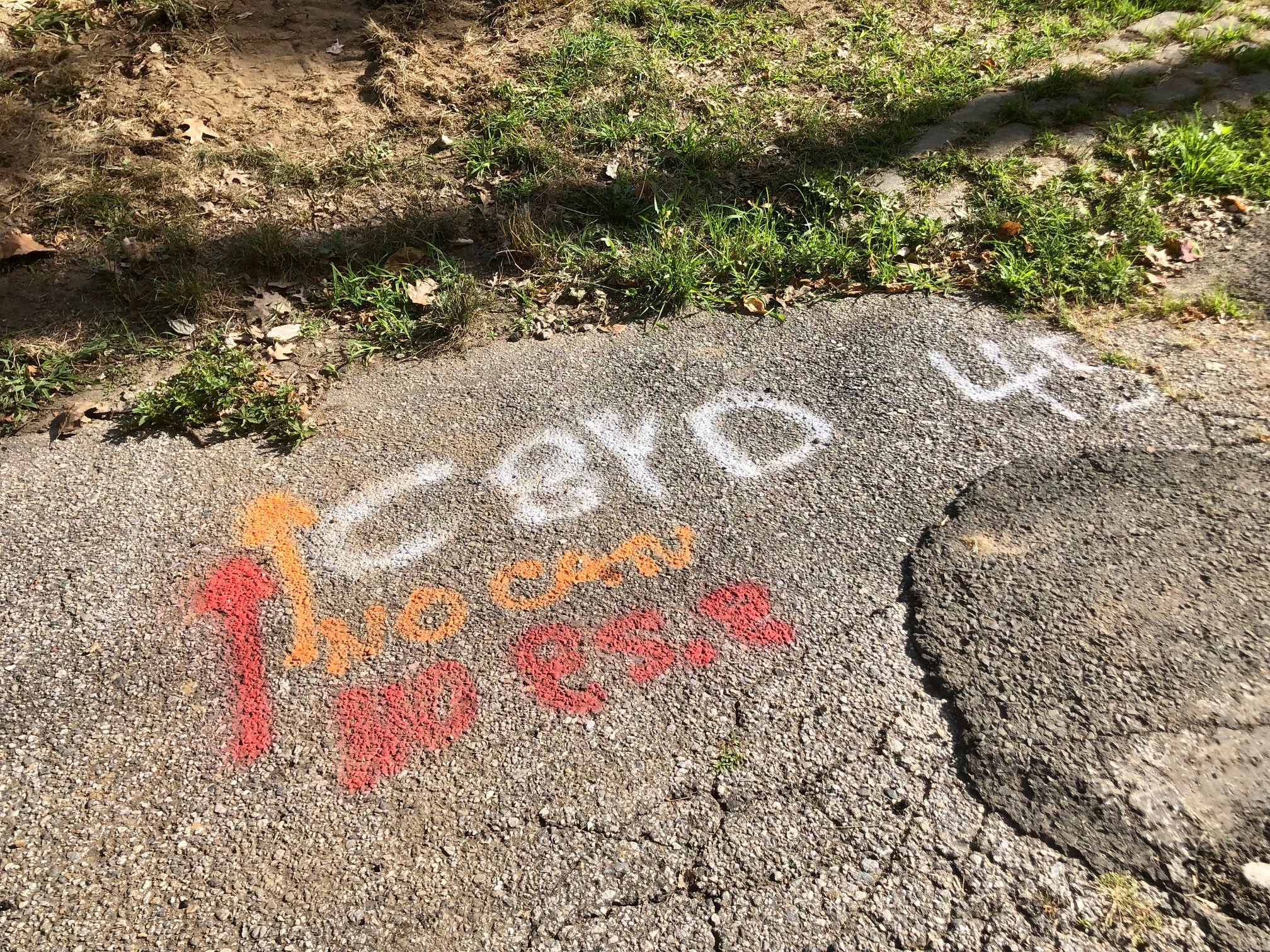 Septic tanks and oil tanks are being removed in the area of Hiawatha Lane Extension to be demolished. These are Call Before You Dig markings. / Photo by Thane Grauel.