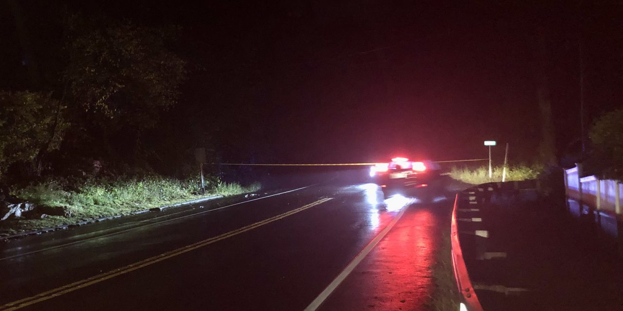 Downed lines leave 156 households in the dark
