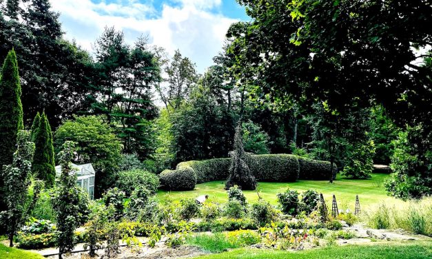 One day only: See a hidden garden of beauty — and purpose — in Greens Farms