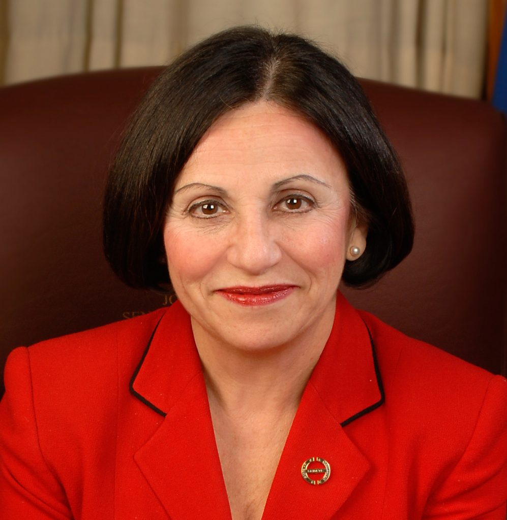 Toni Boucher, the Republican candidate for the 26th state Senate District.