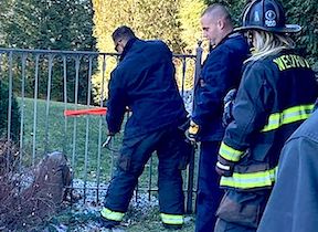 Oh, deer! Firefighters to the rescue