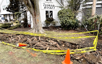 Town, property owner wrangle over repairs to hazardous sidewalk
