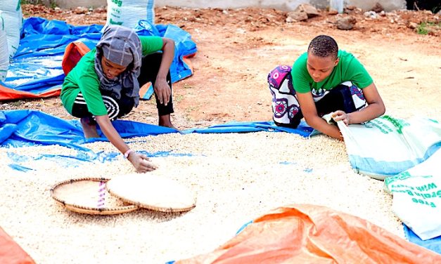 Benefit for African food programs set March 31