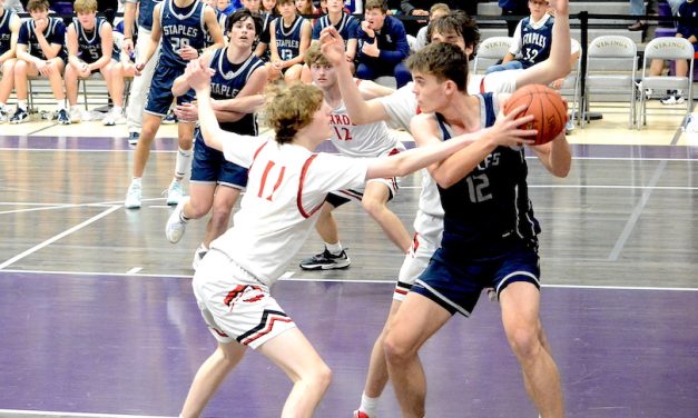 Staples stumbles on final step to state basketball championship