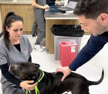 New animal-care clinic books downtown spot