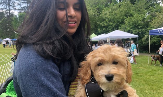 Dogs have their day at Winslow Park