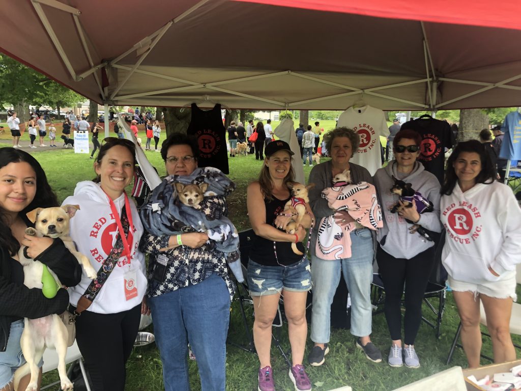 A crew from Red Leash Rescue, which cares for and places older dogs often overlooked at shelters with families that can adopt or foster them. Learn more at https://www.redleashrescue.com