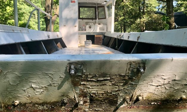 All hands on deck: Clean-water watchdog group needs your help