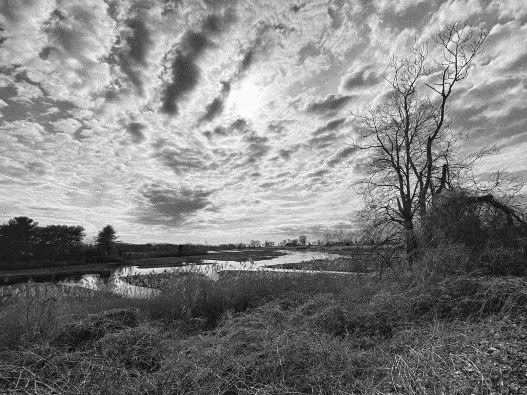 Sherwood Island.