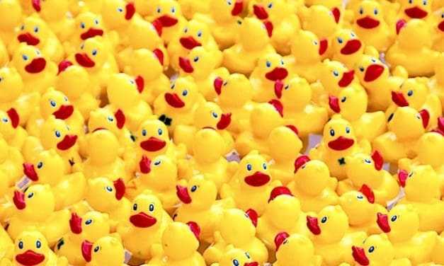 Try your luck, take a chance on a duck