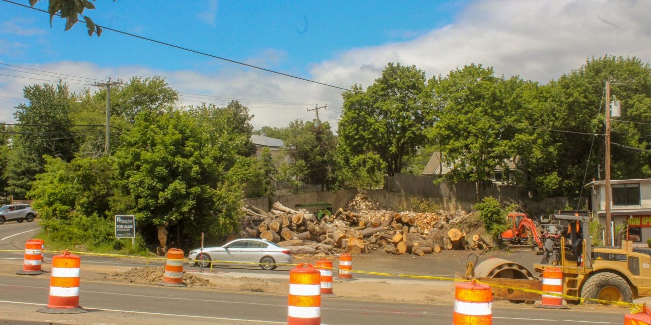 P&Z to get legal update on tree service site development effort