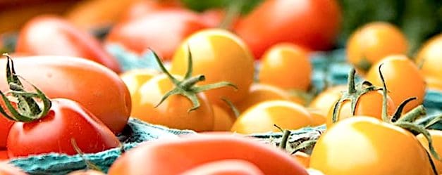 Help others reap what you grow: Donations of fresh produce collected