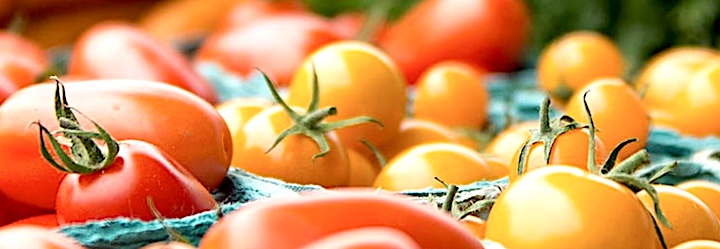 Vegetables, featured image