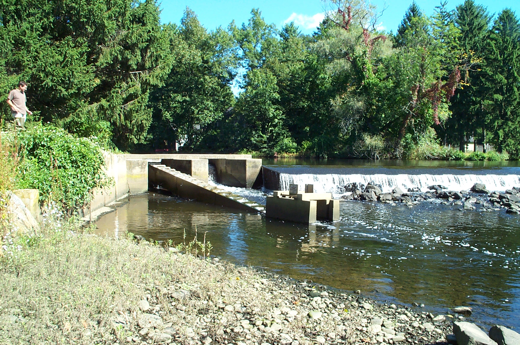 The Wood Damn on the Saugatuck River, which keeps everything upriver freshwater. A fishway is at the left. /DEEP photo